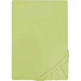 biberna 0077155 Jersey 140 x 200 - 160 x 200 cm pistaziengrün