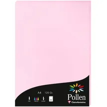 Pollen 10x Papier A4 Pollen 120g 50 Blatt - Bonbonrosa 4213C