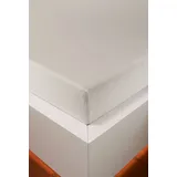 Hefel Spannbettlaken Jersey-Baumwolle-Lyocell 90 x 120 - 120 x 220 cm beige