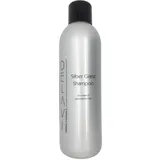 Delavi Silber Glanz Shampoo 1000 ml