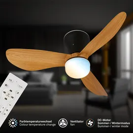 Briloner LUFITO 78 cm Deckenventilator Schwarz