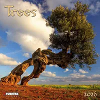 Tushita paperart Trees 2026