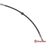 Brembo Bremsschlauch ESSENTIAL LINE