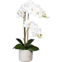 Creativ-green Kunstblume Orchidee, Phalaenopsis, weiß, im Zement-Topf, Höhe 60 cm