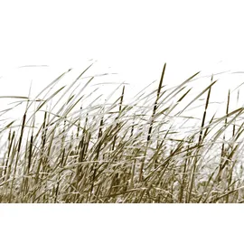 Queence »Sylt« Selbstklebend, kinderleichte Anbringung