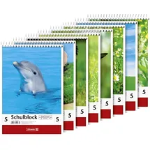 Brunnen 1041905 Schulblock A5 5 mm kariert, Lin. 5 sortiert