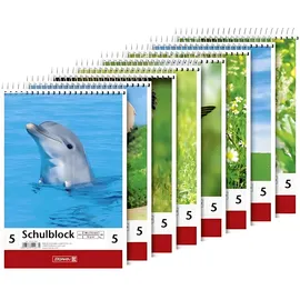 Brunnen 1041905 Schulblock A5 5 mm kariert, Lin. 5 sortiert