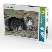 Calvendo Puzzle Hauskatze am Waldrand 1000 Teile Puzzle quer