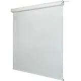 Celexon Leinwand Motor Expert, 250 x 250 cm,