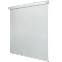 Celexon Leinwand Motor Expert, 250 x 250 cm,