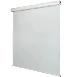 Celexon Leinwand Motor Expert, 250 x 250 cm,