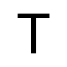 RZB 99222.013.T "T" gross 100mm