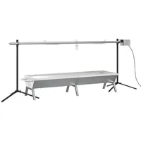 vidaXL Rotisserie-Grill Automatisch Edelstahl