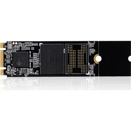 CoreParts NE-256T (256 GB, M.2 2280), SSD