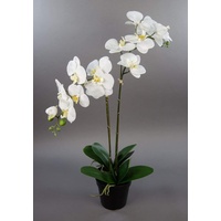 Orchidee 75x40cm Real Touch weiß CG künstliche Orchideen Blumen Kunstpflanzen Kunstblumen