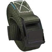 Baumarktplus Spanngurt 5x Profi 2,5 m 250 kg Anthrazit