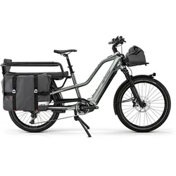 Centurion Vario R960i Grau Modell 2025