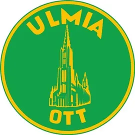 Ulmia Streichmaß Alu-Line 0,22 m
