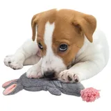 Bunny Puppy Crunchy Rope