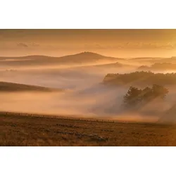 Fototapete PAPERMOON "Nebel in Landschaft", bunt, B:4,50m L:2,80m, Vlies, Tapeten