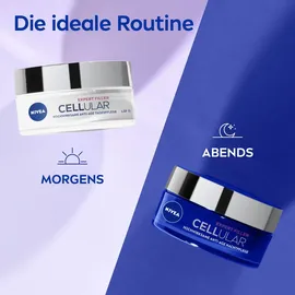 NIVEA Cellular Expert Filler Nachtpflege 50 ml