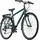 Dacapo Ravenna 50 28 Zoll RH 48 cm Herren grün