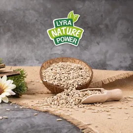 Lyra Pet Sonnenblumenkerne geschält 10 kg Neue Ernte