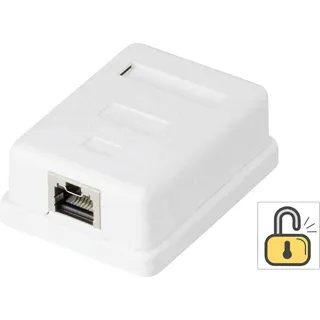 Renkforce 1 Port Netzwerkdose Aufputz CAT 6 KSV-ND10 Weiß RF-4473849
