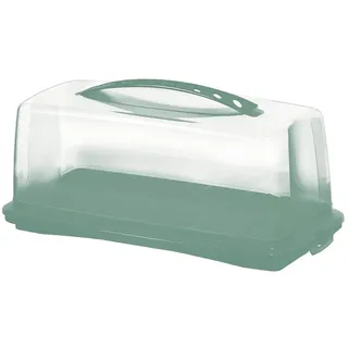 Rotho Fresh Kuchenbehälter Rechteckig Polypropylen (PP) Grün Transparent