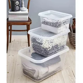 SmartStore Aufbewahrungsbox BasicBox 38 x 27 x 20 cm 1-tlg. transparent