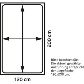 Westfalia Schlafkomfort Boxbett 134 x 214 cm Grau