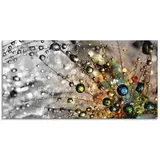 ARTland Wanddeko Glasbilder Wandbild Glas Bild einteilig 100x50 cm Querformat Natur Botanik Blumen Pusteblume Frühling Wassertropfen Modern T9IN