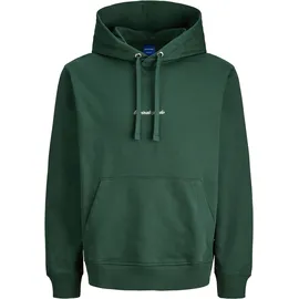 JACK & JONES JORNORREBRO EMB SWEAT HOOD in grün | Gr.: M