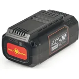 WOLF-Garten Lycos 40/250 40 V Li-Ion 2,5 Ah 49AP401-650