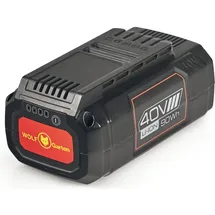 WOLF-Garten Lycos 40/250 40 V Li-Ion 2,5 Ah 49AP401-650