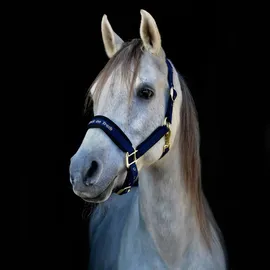 Back on Track Halfter Werano grün - Warmblut