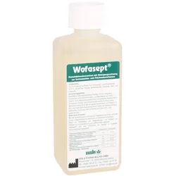 Wofasept Instrumenten- und Flächendesinf 250 ml
