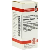 DHU-ARZNEIMITTEL CANDIDA ALBICANS C30