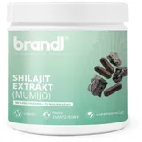 Brandl Nutrition Shilajit Kapseln | 500mg Extrakt mit 50% Fulvinsäure & 12% Huminsäure Mumijo Original 150 g