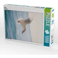 Calvendo Möve (Puzzle)