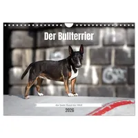 Calvendo Der Bullterrier der beste Hund der Welt (Wandkalender