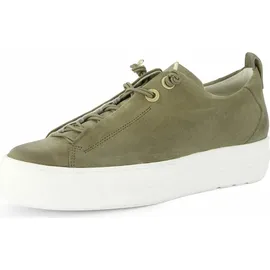 Paul Green 5017 olive 42