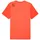 Puma Herren x Hyrox Cloudspun Thermoadapt Tee rot