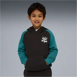 Puma Hoodie Black 116