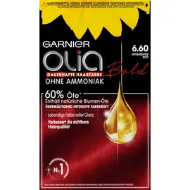 Garnier Olia 6.60 intensives rot