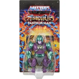 Masters of the Universe Origins x Thundercat Actionfiguren 14 cm