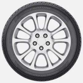 Fortune FSR-901 205/55 R16 91H
