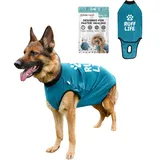 BellyGuard Hundebody nach OP für Hündin & Rüde, OP Body Hund Kastration Hündin, Hunde Body Operation Hündin, Body für Hunde nach OP & Hundebody nach Kastration Rüde, Alternative zu Halskrause