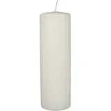 Papstar Stumpenkerze 250 mm 6 St. weiß