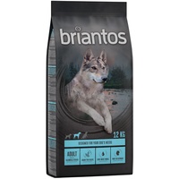 briantos 2 x 12 kg Briantos Adult Trockenfutter für Hunde: Lachs & Kartoffel (getreidefrei)